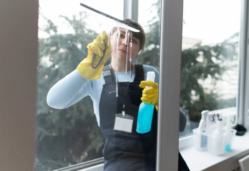 Nettoyage de vitres intérieures et extérieures à Saint-Maurice-le-Girard
